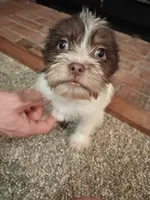 processed/3fc04fd1-20c8-4e67-828c-caa347dd8654/listing/041ec322-f82e-4f21-bd58-59e0545e8f94/82f2ff3e-a2ea-4e9f-9e9b-3394fa1a975e