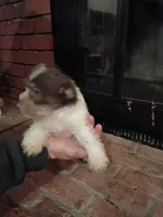 processed/3fc04fd1-20c8-4e67-828c-caa347dd8654/listing/041ec322-f82e-4f21-bd58-59e0545e8f94/b7a0a237-076f-42d5-9d1f-6d43cefa2203