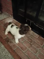 processed/3fc04fd1-20c8-4e67-828c-caa347dd8654/listing/041ec322-f82e-4f21-bd58-59e0545e8f94/ffad5f99-b9a1-4bc3-9ad2-937501e9b125