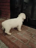 processed/3fc04fd1-20c8-4e67-828c-caa347dd8654/listing/08bb6fba-2a47-4028-a785-8aa69fa0fae7/4e8081df-8982-4d56-b15e-a49cc7ce96b6