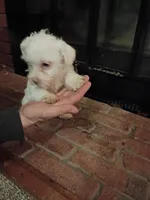 processed/3fc04fd1-20c8-4e67-828c-caa347dd8654/listing/08bb6fba-2a47-4028-a785-8aa69fa0fae7/d8c0d8ab-1ad2-406e-9257-0f3cba0c020f