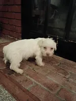 processed/3fc04fd1-20c8-4e67-828c-caa347dd8654/listing/08bb6fba-2a47-4028-a785-8aa69fa0fae7/faa2bd51-f331-4f60-afad-2f31a0faa813