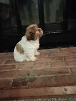 processed/3fc04fd1-20c8-4e67-828c-caa347dd8654/listing/6095cd3a-2c5c-4725-bb4b-99831bdbe99f/2c494748-c5b2-474d-96d9-83514042b1f0