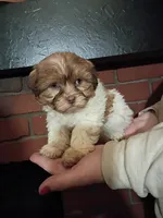 processed/3fc04fd1-20c8-4e67-828c-caa347dd8654/listing/6095cd3a-2c5c-4725-bb4b-99831bdbe99f/8afbc8ab-f55b-4c31-b421-f777d1c7bc39