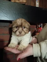 processed/3fc04fd1-20c8-4e67-828c-caa347dd8654/listing/6095cd3a-2c5c-4725-bb4b-99831bdbe99f/ede4b272-2d03-417b-8992-38aa5b91f944