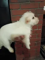 processed/3fc04fd1-20c8-4e67-828c-caa347dd8654/listing/ba6afb2a-b52d-45c1-93af-4ecae9429133/c425d4aa-16cc-4fd6-9183-a39a43a1de3f