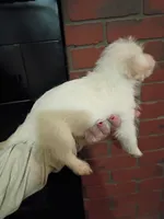 processed/3fc04fd1-20c8-4e67-828c-caa347dd8654/listing/ba6afb2a-b52d-45c1-93af-4ecae9429133/f8cd7ab5-0660-4f94-89e9-d3bf60dad64b