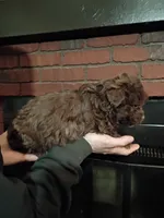 processed/3fc04fd1-20c8-4e67-828c-caa347dd8654/listing/f4c2e4cf-657f-4782-8307-baed7000ad13/45e74eef-4ad3-4c02-b484-27bedbe27f87