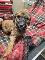 processed/3fc14f95-b43c-4f1a-b889-4b834863cb96/listing/4571bedd-0e01-4983-9cca-5301cdfa3e09/6dda81d3-d30d-41bc-a083-61422c3110b1