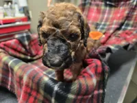 processed/3fc14f95-b43c-4f1a-b889-4b834863cb96/listing/4571bedd-0e01-4983-9cca-5301cdfa3e09/9ef9eb56-811d-4212-8c44-d3f15c6b9305