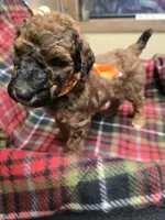 processed/3fc14f95-b43c-4f1a-b889-4b834863cb96/listing/4571bedd-0e01-4983-9cca-5301cdfa3e09/b01abbe3-473c-418f-8c8f-aa7e951a7838