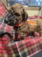 processed/3fc14f95-b43c-4f1a-b889-4b834863cb96/listing/4571bedd-0e01-4983-9cca-5301cdfa3e09/ece3875b-20f1-4fea-bf32-215fe80a99ff