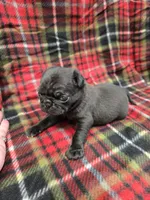 processed/3fc14f95-b43c-4f1a-b889-4b834863cb96/listing/4a1bb86b-1cae-4575-a498-6e61f9ae065a/316efb9d-39cc-4029-9900-ba7d901e3524