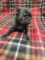 processed/3fc14f95-b43c-4f1a-b889-4b834863cb96/listing/4a1bb86b-1cae-4575-a498-6e61f9ae065a/cb6a2546-4950-42b4-8e56-4eb4f043e0d5