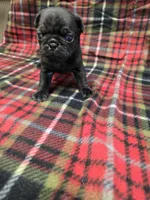 processed/3fc14f95-b43c-4f1a-b889-4b834863cb96/listing/4a1bb86b-1cae-4575-a498-6e61f9ae065a/f1cb6f77-de42-46a4-982b-f27e5bae7ae6