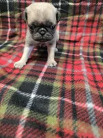 processed/3fc14f95-b43c-4f1a-b889-4b834863cb96/listing/4d105dcb-3f53-4c53-876b-e3b966e8e4e2/273ba98e-5994-4d9d-a370-cc302cb2f90d