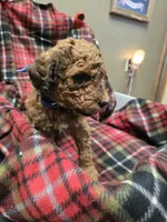 processed/3fc14f95-b43c-4f1a-b889-4b834863cb96/listing/7980950b-e268-4b94-9b75-d29c34378016/eb539e99-6dab-420a-b458-40b5fe65435c