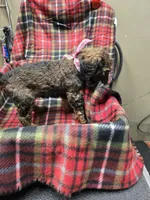 processed/3fc14f95-b43c-4f1a-b889-4b834863cb96/listing/953a67ef-8522-4e17-9171-e46c62d11044/d73d44ab-fe0b-4ba3-8fbb-177b89e3a682