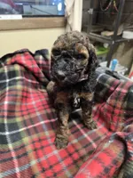 processed/3fc14f95-b43c-4f1a-b889-4b834863cb96/listing/953a67ef-8522-4e17-9171-e46c62d11044/ed5e8edd-3954-429a-9aa8-2bd0c980063f