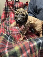 processed/3fc14f95-b43c-4f1a-b889-4b834863cb96/listing/a7bd2584-fa85-4b0d-b7e2-e09f44c52c4e/3c8f45e9-7572-42dc-ae33-ab4e9bfa4590