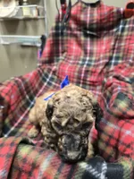 processed/3fc14f95-b43c-4f1a-b889-4b834863cb96/listing/a7bd2584-fa85-4b0d-b7e2-e09f44c52c4e/9d4877dd-5449-4515-95f9-e92d4edb22c2