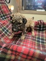 processed/3fc14f95-b43c-4f1a-b889-4b834863cb96/listing/a7bd2584-fa85-4b0d-b7e2-e09f44c52c4e/b1139a41-96f5-4b03-9111-c788d55f9322