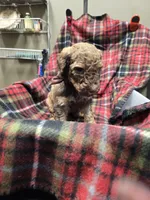 processed/3fc14f95-b43c-4f1a-b889-4b834863cb96/listing/bde0d1ee-6e77-4755-96b1-54c8db0d3250/ae5a38bf-935d-45a8-b956-6966a216497c