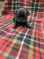 processed/3fc14f95-b43c-4f1a-b889-4b834863cb96/listing/d790153f-2925-4fbf-94bc-eebd328502b8/577abd81-1a01-4eb7-b485-8b26f49b850a