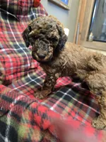 processed/3fc14f95-b43c-4f1a-b889-4b834863cb96/listing/f9f2df5b-7489-42b1-9f8b-c6e788d8f92c/7f1f0014-0c08-4c46-9adf-ce1669942fc5