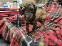 processed/3fc14f95-b43c-4f1a-b889-4b834863cb96/listing/f9f2df5b-7489-42b1-9f8b-c6e788d8f92c/813945fd-e985-4437-afc2-ae951cf8704c