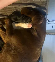 processed/3fc9a9cd-2d93-4742-89a9-0b8a63cc2a30/facility/091df641-1952-4614-a7d4-f8528f9847d9