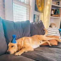 processed/3fc9a9cd-2d93-4742-89a9-0b8a63cc2a30/facility/2e2809da-b09e-443e-ae7e-d2a0e4286f1c