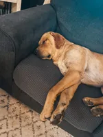 processed/3fc9a9cd-2d93-4742-89a9-0b8a63cc2a30/facility/cc5e4c31-f3af-4ef3-9a1d-aac1cc8b62e9