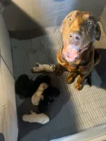 processed/3fc9a9cd-2d93-4742-89a9-0b8a63cc2a30/facility/dbc27d92-9642-4ca5-a430-2ac0fff22fd3