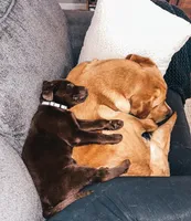 processed/3fc9a9cd-2d93-4742-89a9-0b8a63cc2a30/facility/f6935c38-e985-49fe-91a8-b474ce2e8ac4