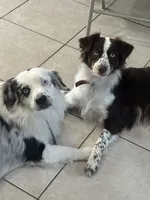 processed/3fd98682-9d42-40c8-86c4-ad6bef6b590a/listing/14beaabc-ee82-4241-a06f-c1c961beb390/5cf3d898-5c64-4e20-9e0a-700e1c24d5e7