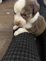 processed/3fd98682-9d42-40c8-86c4-ad6bef6b590a/listing/14beaabc-ee82-4241-a06f-c1c961beb390/c388a89b-a055-4946-9918-3efe4b24e4e3