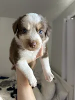 processed/3fd98682-9d42-40c8-86c4-ad6bef6b590a/listing/14beaabc-ee82-4241-a06f-c1c961beb390/f2e27f1f-e8ad-4460-a5d8-f83fe150a924