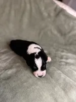 processed/3fd98682-9d42-40c8-86c4-ad6bef6b590a/listing/dde0f727-f13c-4a34-9801-0a95bcca4ffb/a64a58c7-307f-4f57-b548-fa54d086d2ed