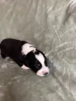 processed/3fd98682-9d42-40c8-86c4-ad6bef6b590a/listing/dde0f727-f13c-4a34-9801-0a95bcca4ffb/ff6db6ff-e98f-4298-a9cc-76e9e65a9c5b