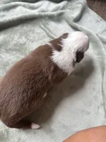 processed/3fd98682-9d42-40c8-86c4-ad6bef6b590a/listing/fcddb4e6-2d5f-41fb-8b4e-c3514d614638/2a43b2da-6206-410c-b027-68ab49c81fd8