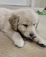 processed/3fe1db9c-ebb1-4f20-a28c-cdeab09181b6/listing/8fb9bd6c-1d63-4e33-a3b7-73ff0b70aa34/7af0a58f-29c4-4611-b4d8-08a1f571907c