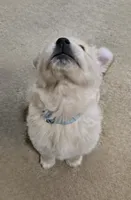 processed/3fe1db9c-ebb1-4f20-a28c-cdeab09181b6/listing/8fb9bd6c-1d63-4e33-a3b7-73ff0b70aa34/c1b793b7-9d95-49ca-8ea3-6f087631c603