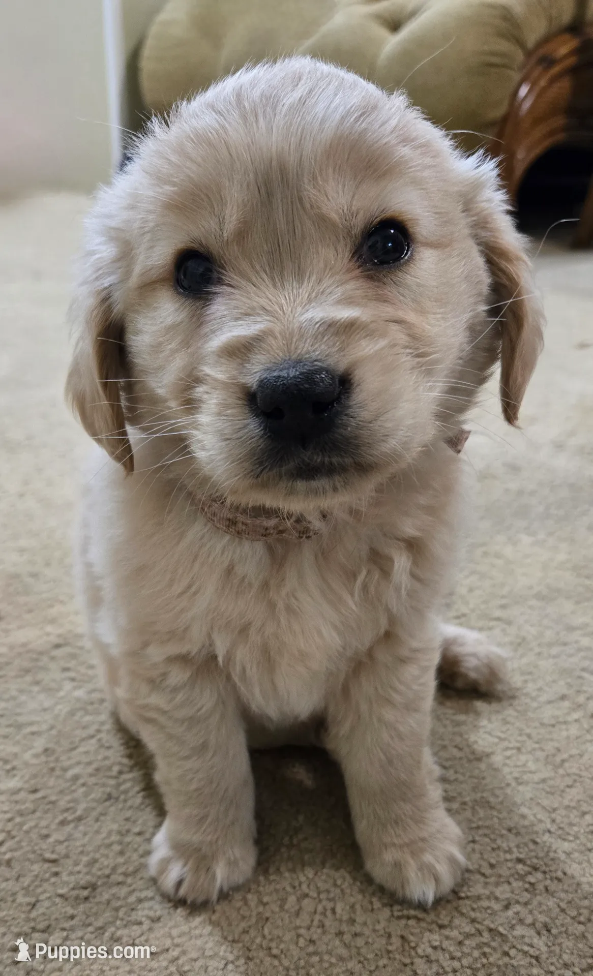 processed/3fe1db9c-ebb1-4f20-a28c-cdeab09181b6/listing/f11b0eb3-07ce-440a-9751-82aefb7dd2d8/897c5adc-2de7-4d21-af25-4b2cdb4b881a