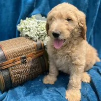 processed/4004ae9b-7163-4a90-86b9-ac7768e440f4/facility/02210de2-b006-4220-9434-0d96260b02b9