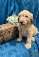 processed/4004ae9b-7163-4a90-86b9-ac7768e440f4/facility/02210de2-b006-4220-9434-0d96260b02b9