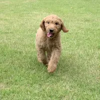 processed/4004ae9b-7163-4a90-86b9-ac7768e440f4/facility/27109577-6f4f-4c43-a542-86229722b876