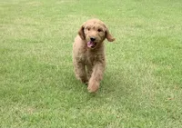 processed/4004ae9b-7163-4a90-86b9-ac7768e440f4/facility/27109577-6f4f-4c43-a542-86229722b876