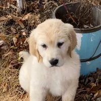 processed/4004ae9b-7163-4a90-86b9-ac7768e440f4/facility/54b8e5dc-aff0-4251-a798-f9da32d24c77