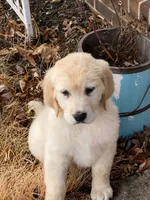 processed/4004ae9b-7163-4a90-86b9-ac7768e440f4/facility/54b8e5dc-aff0-4251-a798-f9da32d24c77